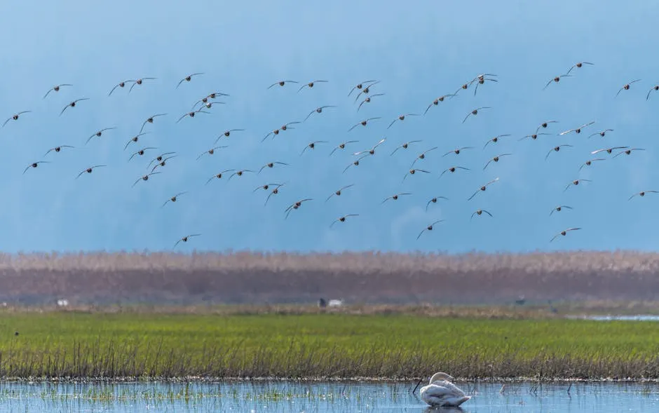 Parco Gallorose: un'esperienza educativa e divertente