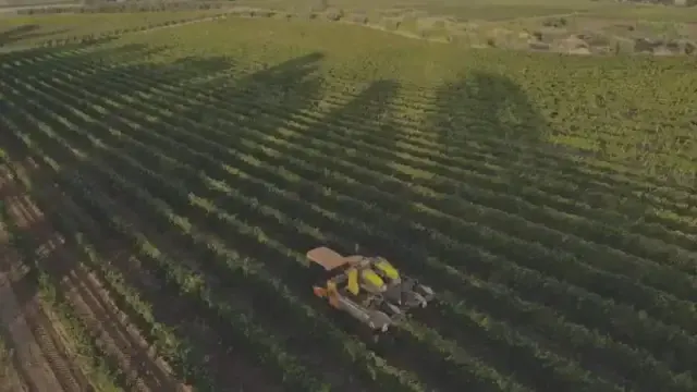 Azienda Vinicola Bruni 2