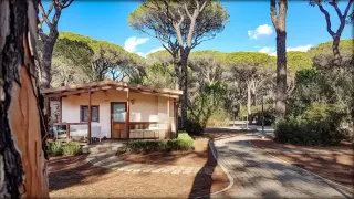 Campeggio Cielo Verde