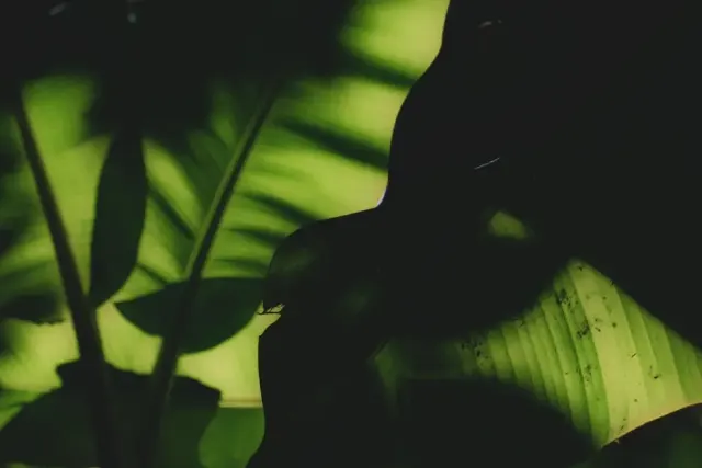 Cosa vedere a Camaiore: consigli e itinerario