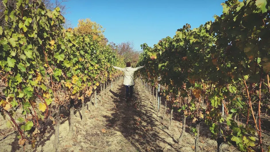 Cucina e vini di Orbetello, un viaggio tra sapori e tradizioni.
