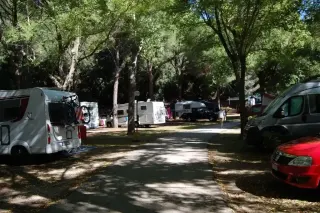 Camping Feniglia