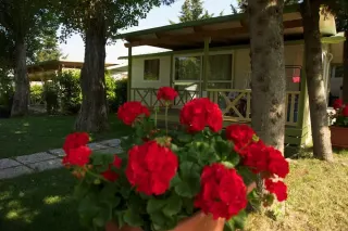 Camping Village Il Fontino