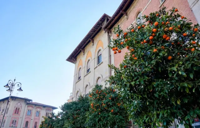 Grosseto tra storia e natura da esplorare con calma