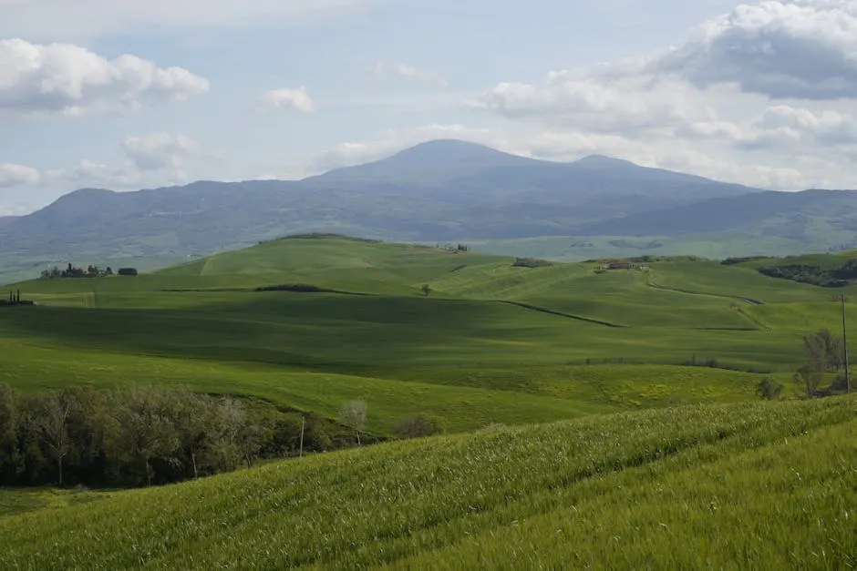 Vista panoramica di Scarlino con colline e mare