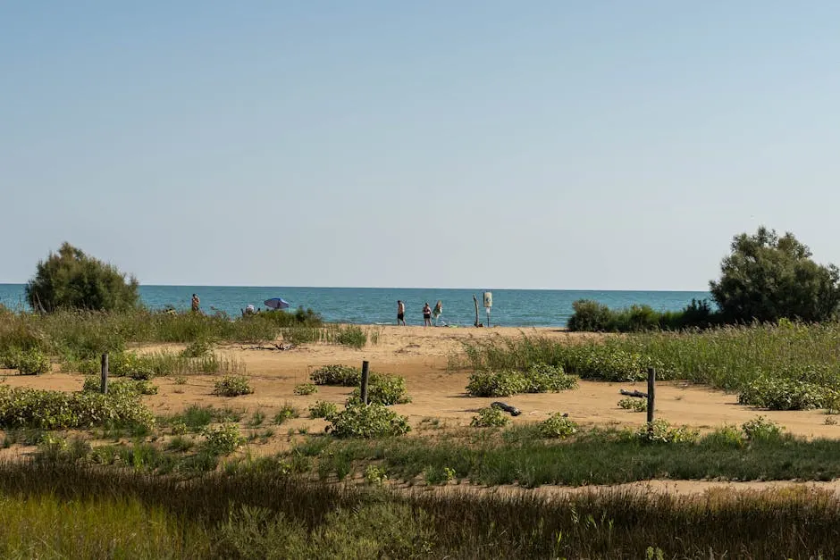 Tradizioni culinarie: un viaggio nei sapori