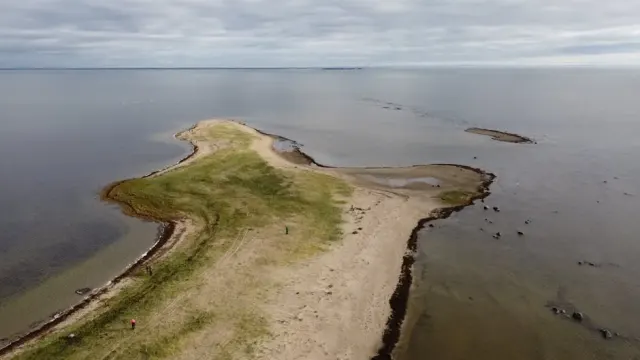 Mare e spiagge a Follonica: tema turistico