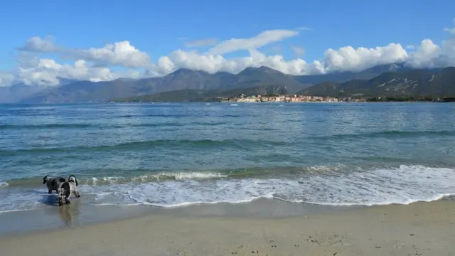 Mare e spiagge a Gavorrano: idee di viaggio e consigli