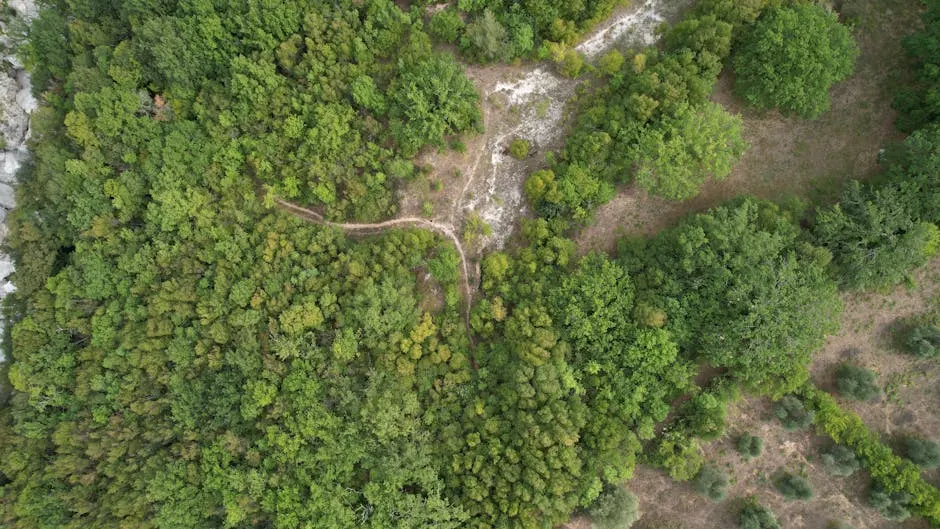 Vista delle spiagge di Massa con acque cristalline e atmosfera vivace.