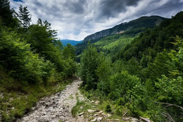 Natura e trekking a Grosseto: guida turistica dal taglio