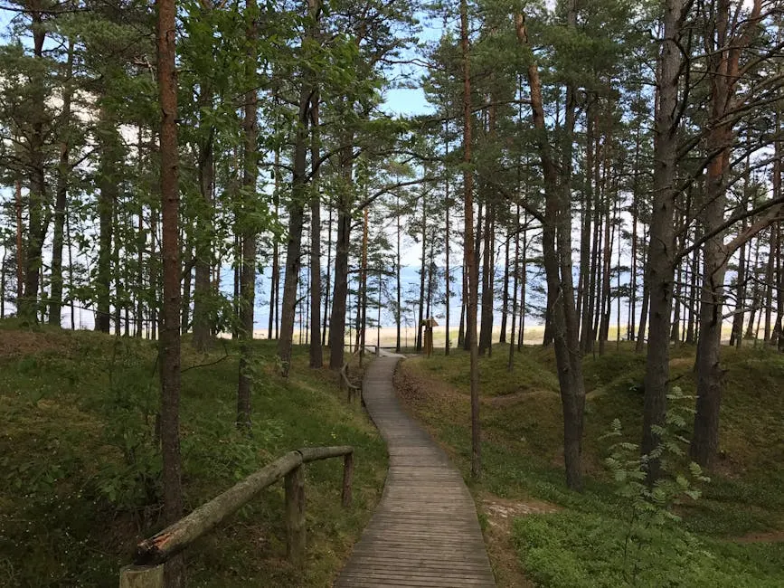 I migliori periodi per il trekking a Grosseto