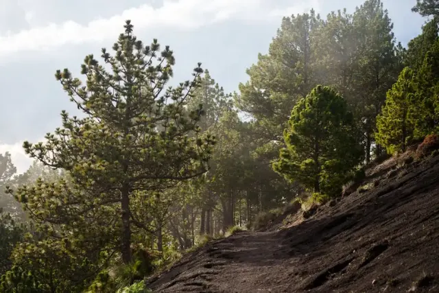 Natura e trekking a Orbetello: tema turistico