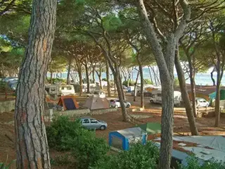 Camping Pineta del Golfo