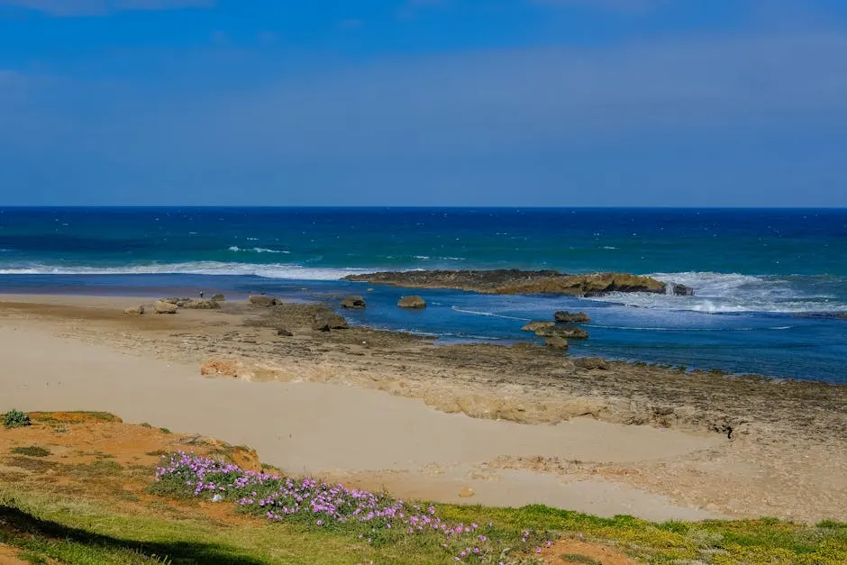 Accessibilità e servizi